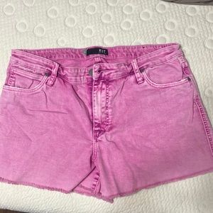 Pink Kut From The Cloth Shorts